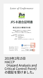 JFS-B
