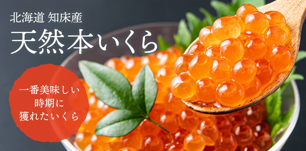 天然本いくら